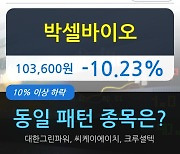 박셀바이오, 전일대비 -10.23% 하락.. 이 시각 거래량 202만942주