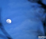 [포토친구] 파란 하늘 하얀 달
