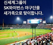 공정위, 신세계그룹 SK 와이번스 야구단 인수 승인