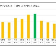 서울시, 식품몰 만족‧구매대행 일부 불만..인터넷쇼핑몰 평가결과