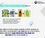 남원시보건소, 담관암 원인 간흡충 무료 기생층검사
