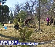북한 식수절 맞아 만경대혁명사적지 나무심기