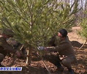 북한 식수절 맞아 국토환경보호성 나무심기
