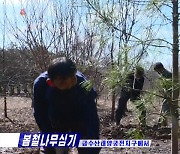 북한 식수절 맞아 금수산태양궁전지구 나무심기