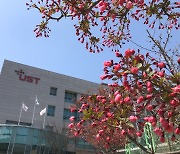 UST, 2021학년도 후기 신입생 모집..온라인 입학설명회 진행