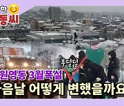 [영상]강원영동 폭설..지자체 연일 제설작업 '총력'