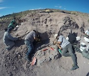 [다이노+] 1억4000만 년 전..역대 최고(最古) 티타노사우르스 화석 발견