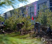 '푸르게 푸르게' 북한 식수절 맞아 나무 심기