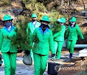 북한 '식수절' 맞아 모란봉에도 나무 심기