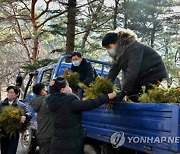 북한, 녹화사업에 박차..식수절에 나무 약 백만그루 심어