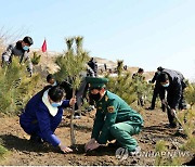 북한, 나무 심기에 한창..묘목 심고 손으로 다지고