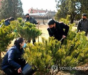 "국토 면모를 일신"..북한 곳곳서 봄철 나무 심기