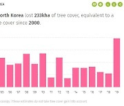 "북한, 19년간 축구장 33만개 면적 산림 사라져"
