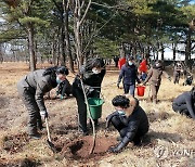 북한, 식목일 맞아 나무 100만 그루 넘게 심어