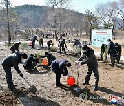 북한, 식목일 맞아 나무 100만 그루 넘게 심어