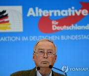 GERMANY PARTIES AFD CONSTITUTION