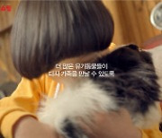 11번가 X '싱어게인' 이승윤, 유기·반려동물 지원 캠페인