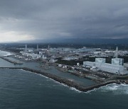 그린피스 "日 후쿠시마 제염 완료면적 15% 불과.. 세슘에 여전히 오염"
