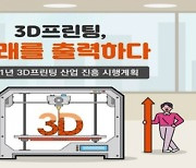 정부, 3D프린팅산업 969억원 투입..한국형 성공사례 발굴