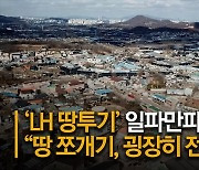 [단독]한 필지에 119명..LH직원식 '지분쪼개기' 판친 광명시흥
