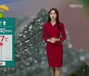 [날씨] 내일 '경칩' 부산 아침까지 비..기온 ↑