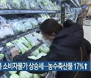 대구경북 소비자물가 상승세..농수축산물 17%↑