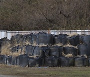 그린피스 "후쿠시마 방사능 제염 완료 면적, 일본 발표의 15%에 불과"