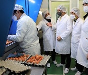 제주도, 5일부터 전남·북 고기·계란 반입 허용