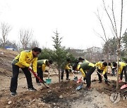 경기도, 올해 862㏊에 200여만 그루 나무 심는다