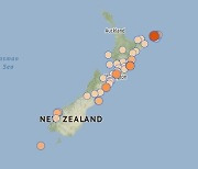 뉴질랜드 해역서 세차례 강진..규모 8.1 지진에 쓰나미 경보도(종합3보)