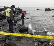 제주 해안서 250kg 밍크고래 사체 발견..포획 흔적은 없어