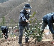 [날씨] 온난화로 식목일 3월로 당기고 공휴일 검토