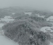 [날씨] '춘래불사춘' 영동에 또 대설주의보..강풍·안개도 조심