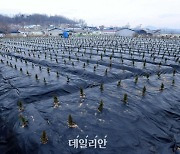 LH 옹호한 변창흠..與 "안일한 발언 국민께 더 큰 상처" 질타