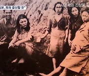 "뻔뻔한 일본, 램지어는 돈벌레"