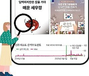 심리 테스트, 젊은층 놀이터인가 불안한 심리 반영인가