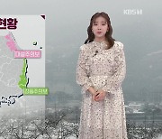 [광장 날씨] 주말 짙은 안개 주의, 동해안 비나 눈