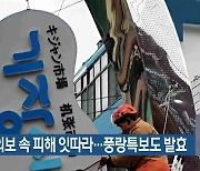 부산, 강풍주의보 속 피해 잇따라..풍랑특보도 발효