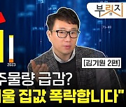 "공급 부족? 그래도 서울 아파트값 떨어져요"[부릿지]