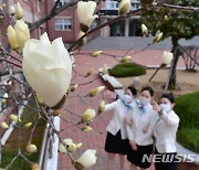 대구·경북 대체로 흐림..경북 동해안, 눈 또는 비