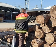남부산림청, 봄철 소나무류 이동 집중 단속