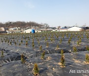 LH 전·현직 직원들, 광명·시흥지구 땅 투기 의혹 추측성 말 '무성'