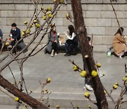 따스한 토요일, 동해안은 눈 내리고 낮에도 쌀쌀 [오늘 날씨]