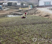 구름 많고 흐린 대전·세종·충남..낮 최고 12∼15도