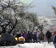 "코로나 시대, 소규모 맞춤 관광상품 개발" 전남도 종합대책