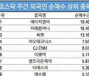 코스닥 주간 외국인 순매수 1위 '에이치엘비'