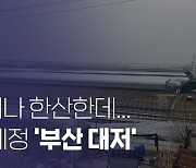 [르포] 광명·시흥과 함께 지정된 '부산 대저'.. "두 달 거래액 435억, 도로도 사들여"