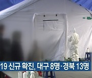 코로나19 신규 확진, 대구 8명·경북 13명