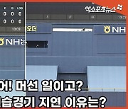 심판이 없어? 대체 머선 일이고? [김한준의 사이드앵글]