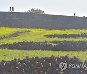 제주 흐리고 강한 바람..산지에 빗방울